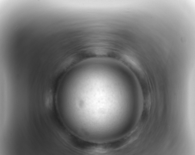 X0000089450120200706221254
