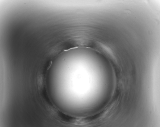 X0000089450121200706221254