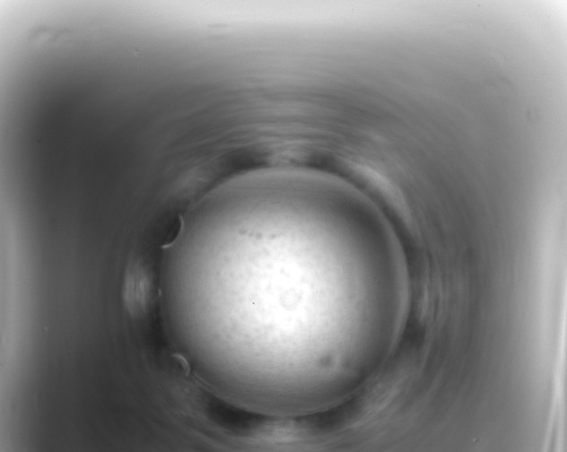 X0000089450123200706221254