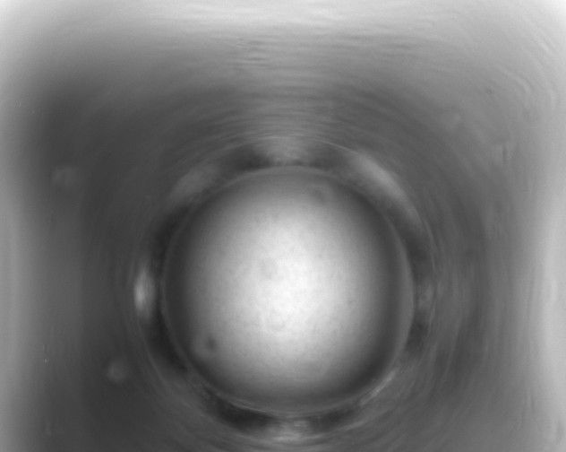 X0000089450124200706221254