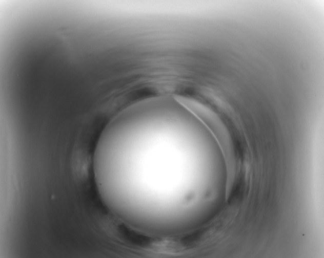 X0000089450125200706221254