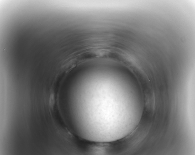 X0000089450128200706221254