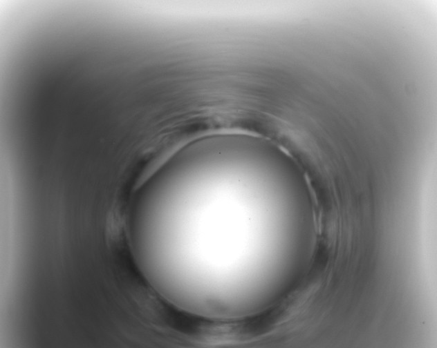 X0000089450129200706221254