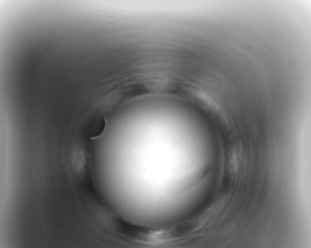 X0000089450130200706221254