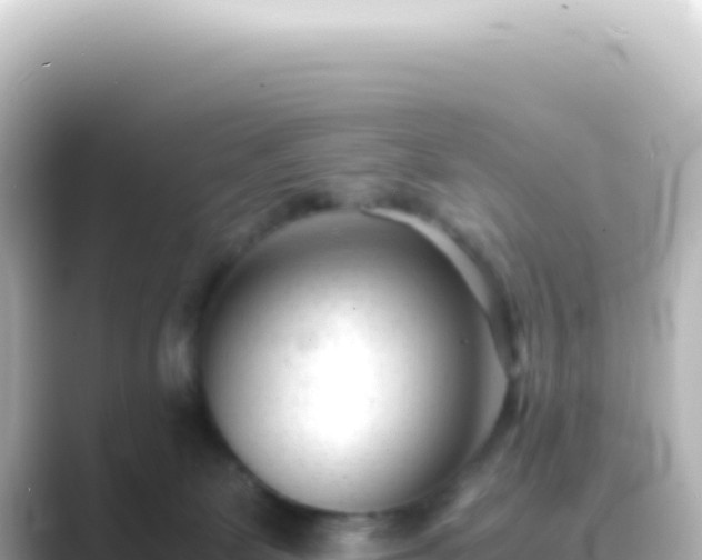 X0000089450131200706221254