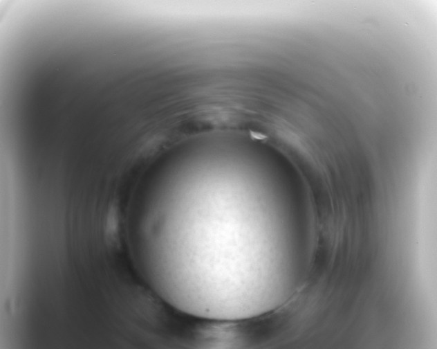 X0000089450132200706221254