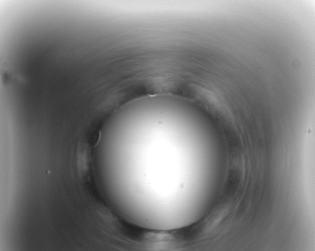 X0000089450133200706221254