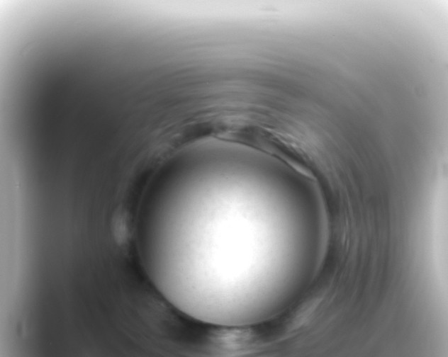 X0000089450135200706221254