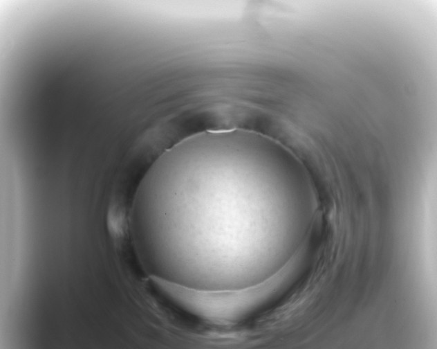 X0000089450137200706221254