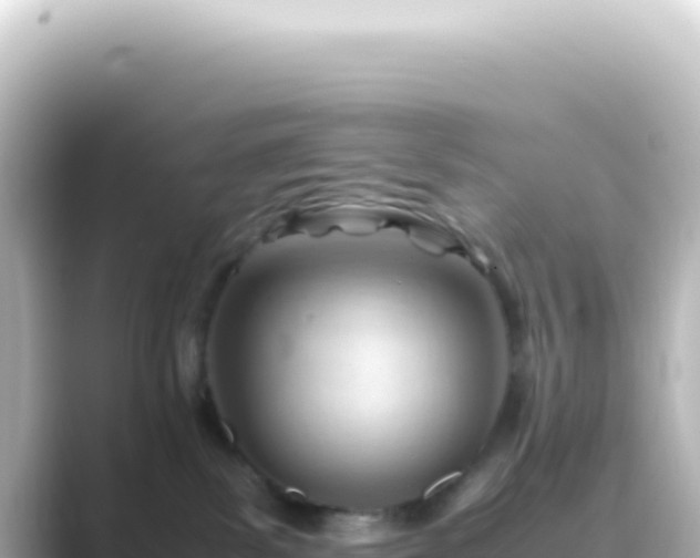 X0000089450139200706221254