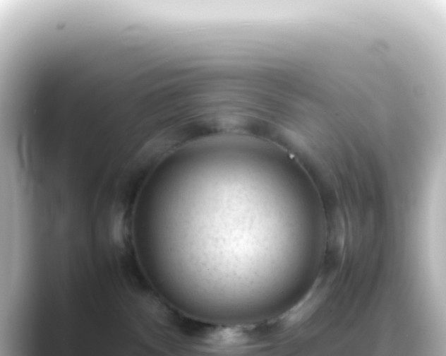 X0000089450140200706221254