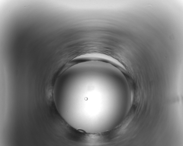 X0000089450141200706221254