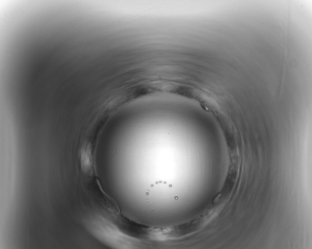 X0000089450143200706221254
