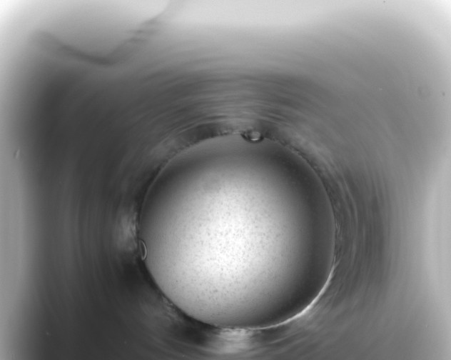 X0000089450144200706221254