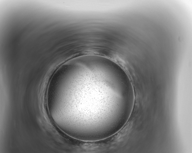 X0000089450145200706221253