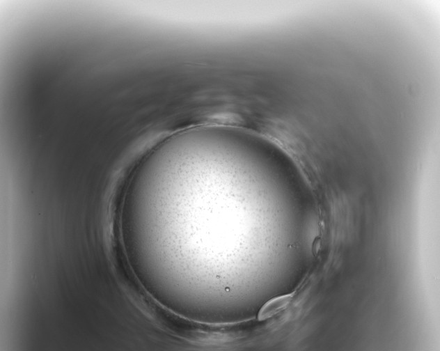 X0000089450149200706221253