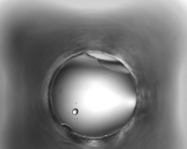 X0000089450151200706221253