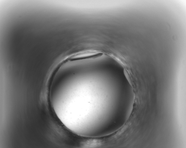 X0000089450152200706221253