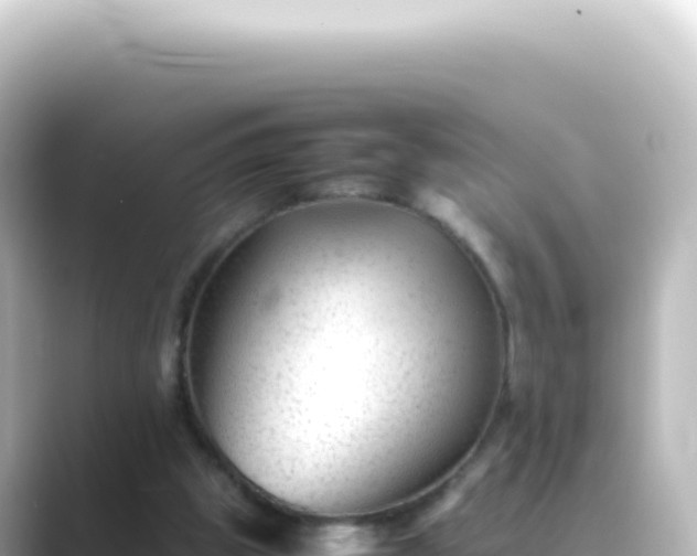 X0000089450153200706221253