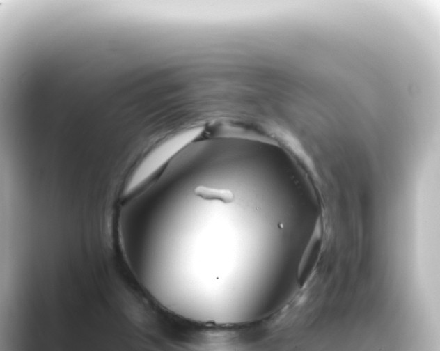 X0000089450154200706221253