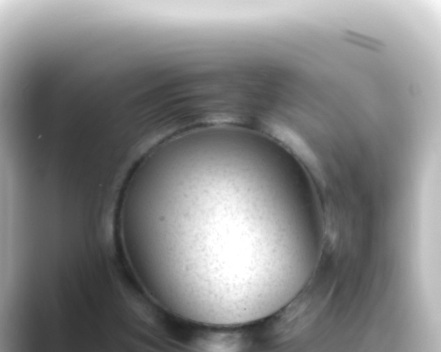 X0000089450155200706221253