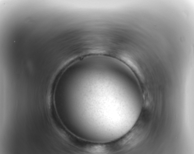 X0000089450156200706221253