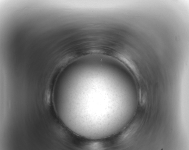 X0000089450157200706221253