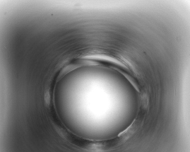 X0000089450158200706221253