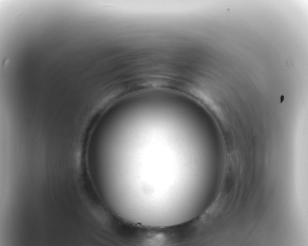 X0000089450159200706221253