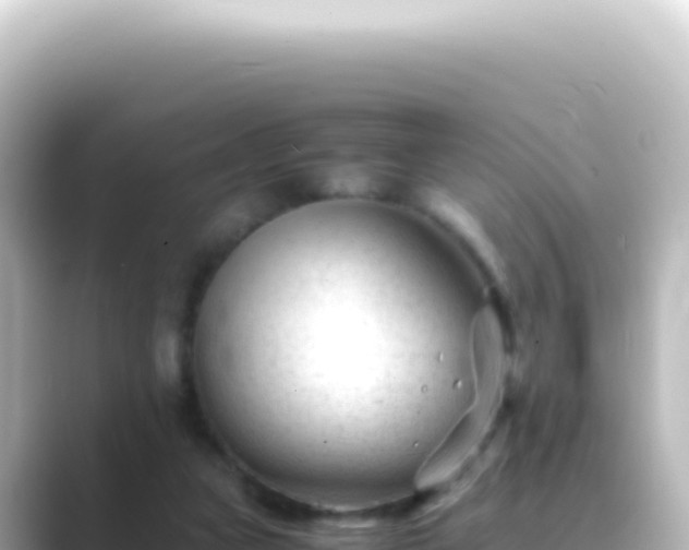 X0000089450161200706221253