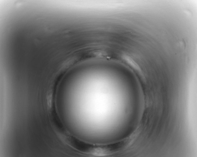 X0000089450163200706221253