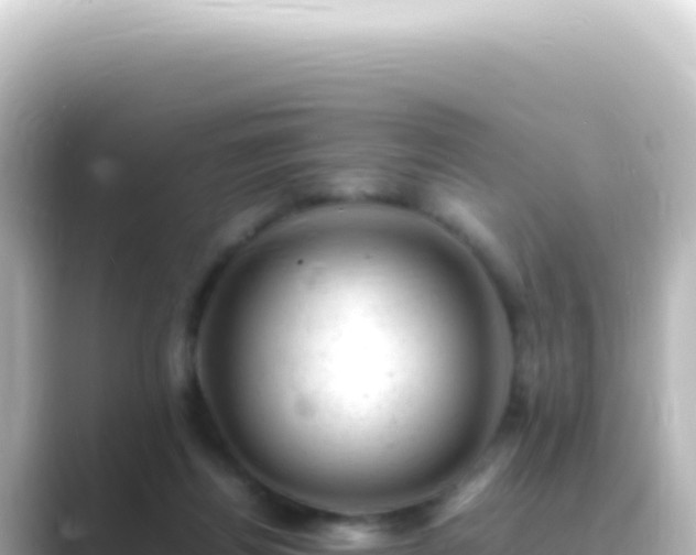 X0000089450164200706221253
