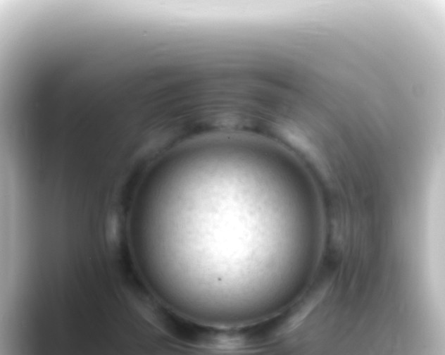 X0000089450165200706221253