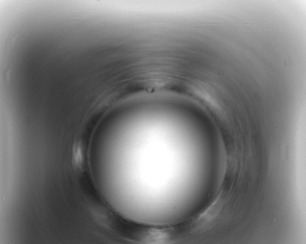 X0000089450166200706221253