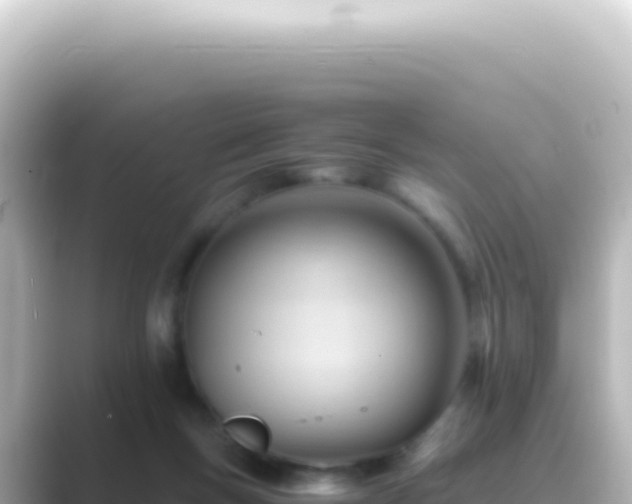 X0000089450167200706221253