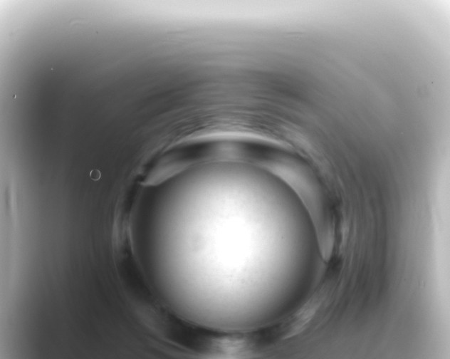 X0000089450168200706221253