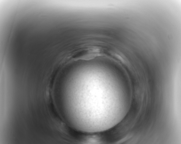 X0000089450169200706221253
