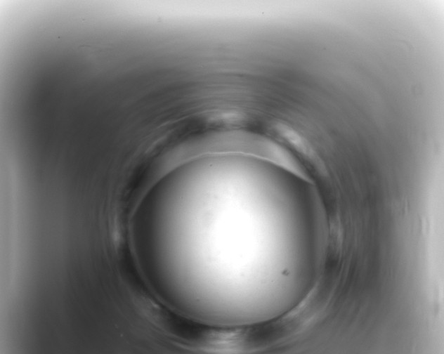 X0000089450170200706221253