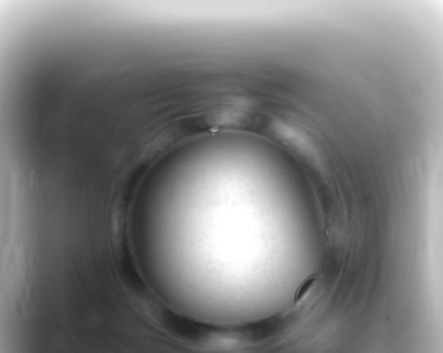 X0000089450171200706221253