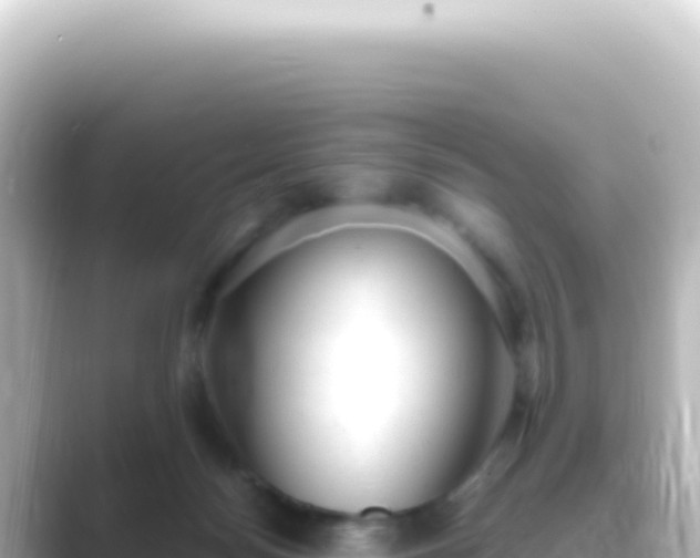 X0000089450172200706221253