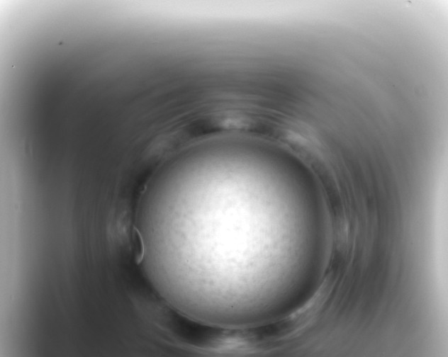 X0000089450175200706221253