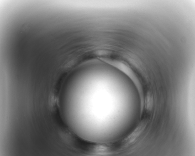 X0000089450176200706221253