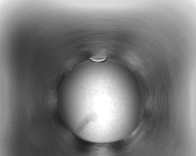 X0000089450179200706221253