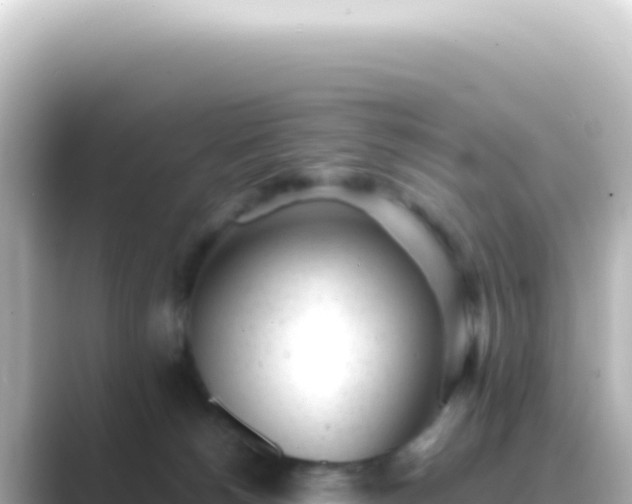 X0000089450180200706221253