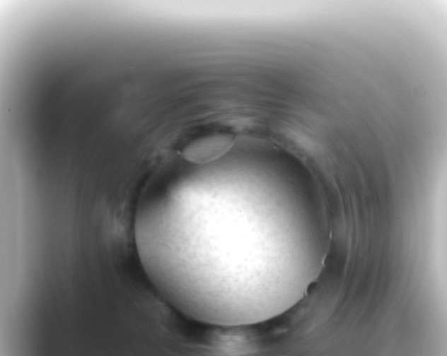 X0000089450181200706221253
