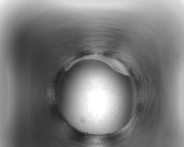 X0000089450182200706221253