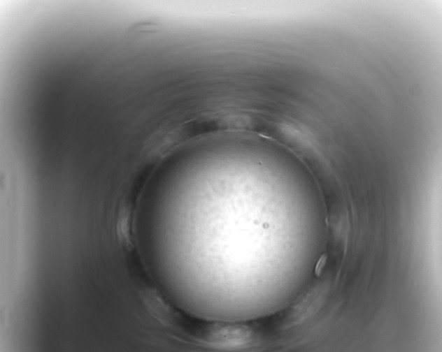 X0000089450185200706221253