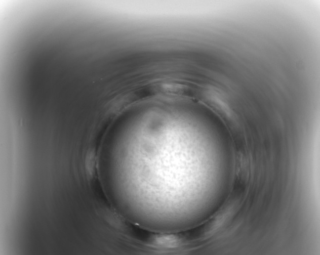 X0000089450189200706221254