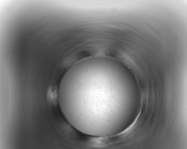 X0000089450190200706221254
