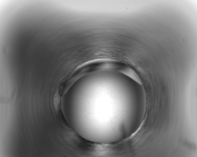 X0000089450192200706221254